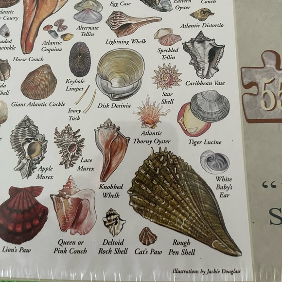 New Shells of the South Atlantic Coast Heritage Puzzle New In Box - Picture 5 of 6